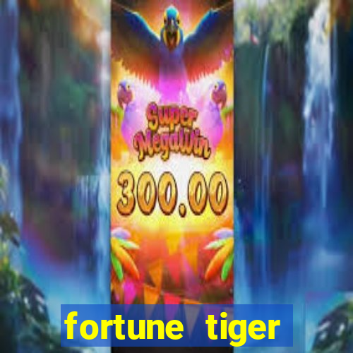 fortune tiger plataforma nova